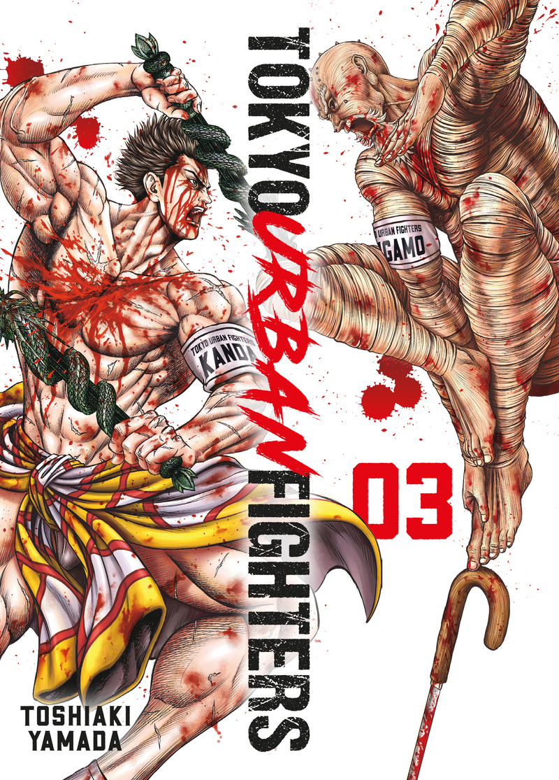 Tokyo Urban Fighters 3: portada