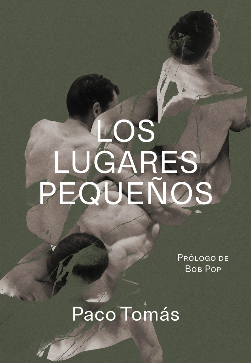 Los lugares pequeños: portada