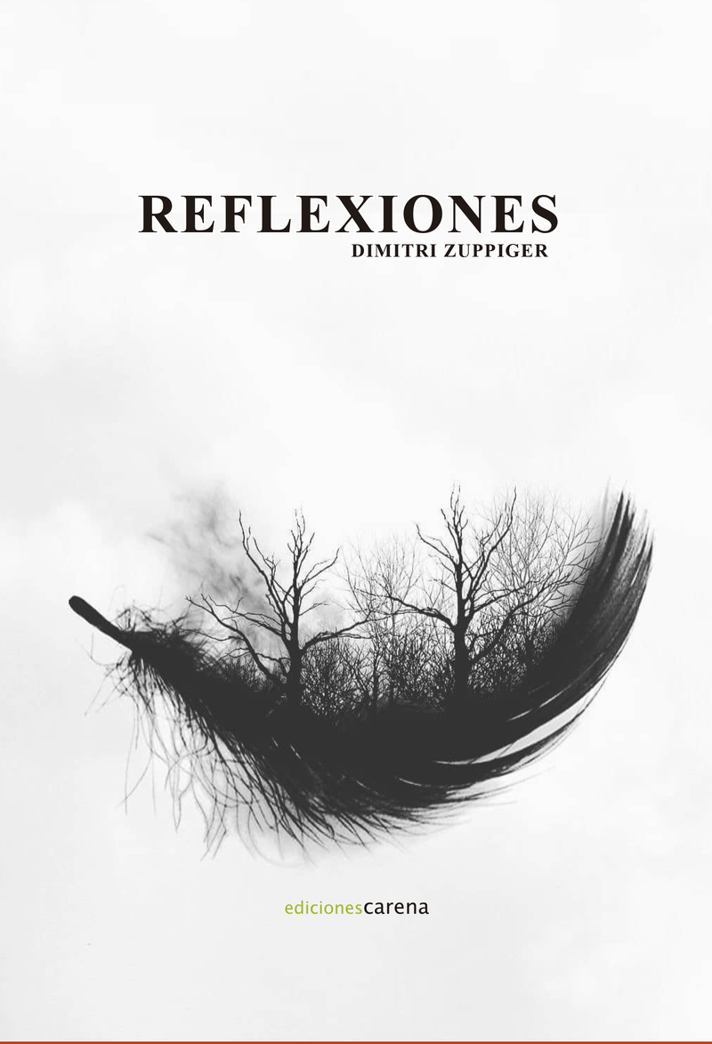 Reflexiones: portada