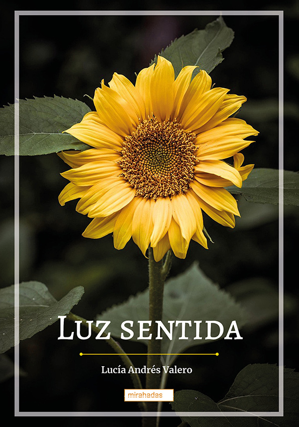 Luz sentida: portada