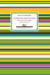 Camino de ningún final: portada