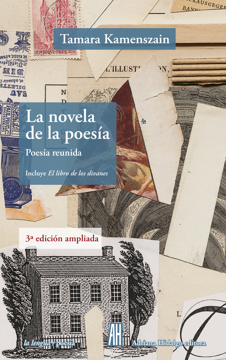 LA NOVELA DE LA POESIA: portada