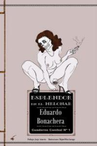 ESPLENDOR EN EL MELONAR: portada