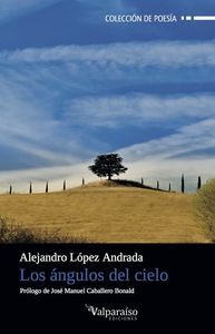 LOS ÁNGULOS DEL CIELO: portada