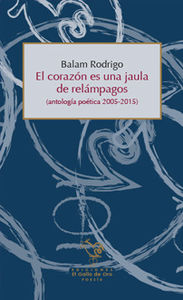 EL CORAZÓN ES UNA JAULA DE RELÁMPAGOS: portada