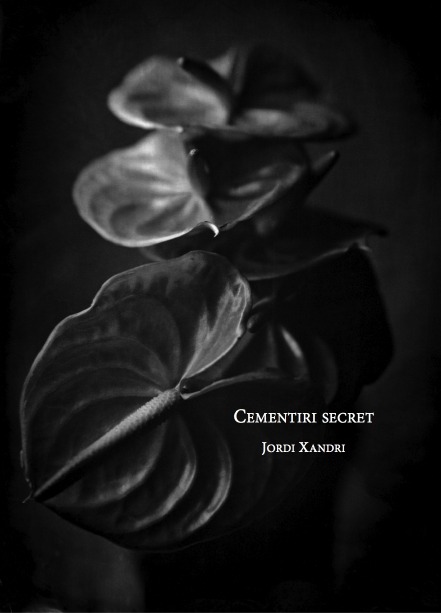 Cementiri secret: portada