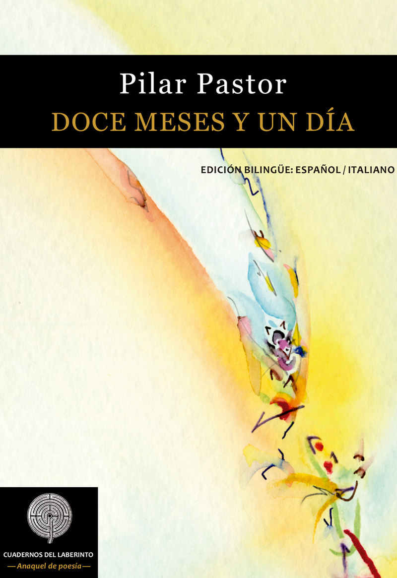 Doce meses y un día: portada