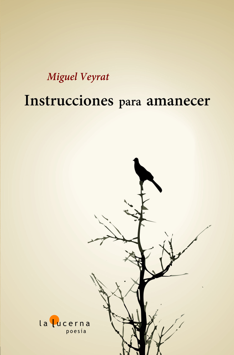 INSTRUCCIONES PARA AMANECER: portada