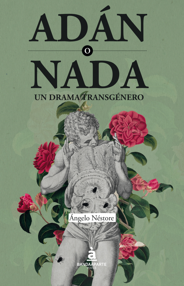 Adn o Nada. Un drama transgnero.: portada