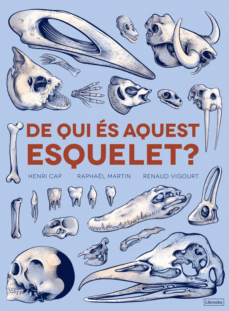 DE QUI S AQUEST ESQUELET?: portada