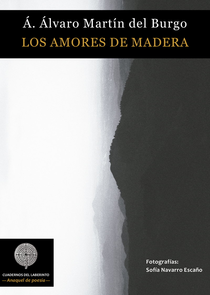 Los amores de madera: portada