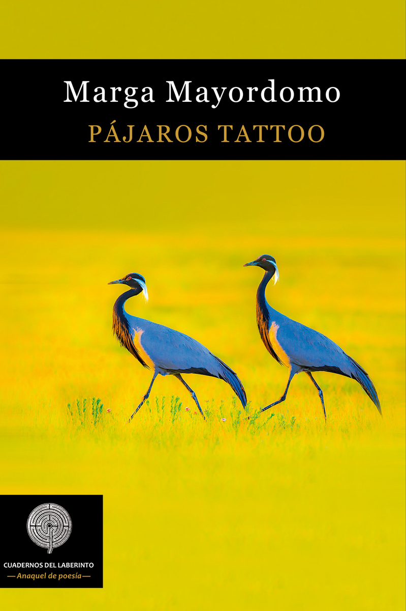 PÁJAROS TATTOO: portada