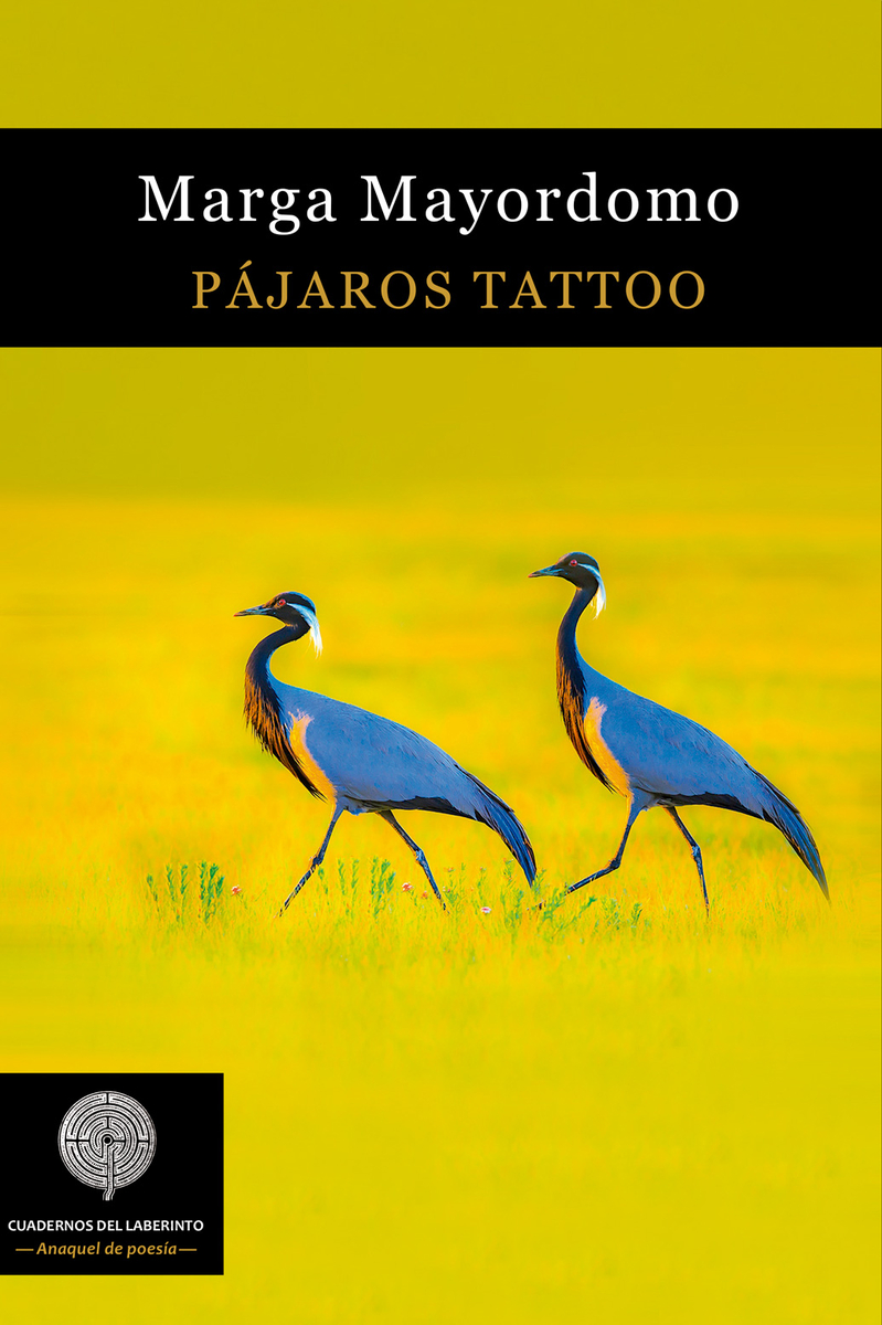 PJAROS TATTOO: portada