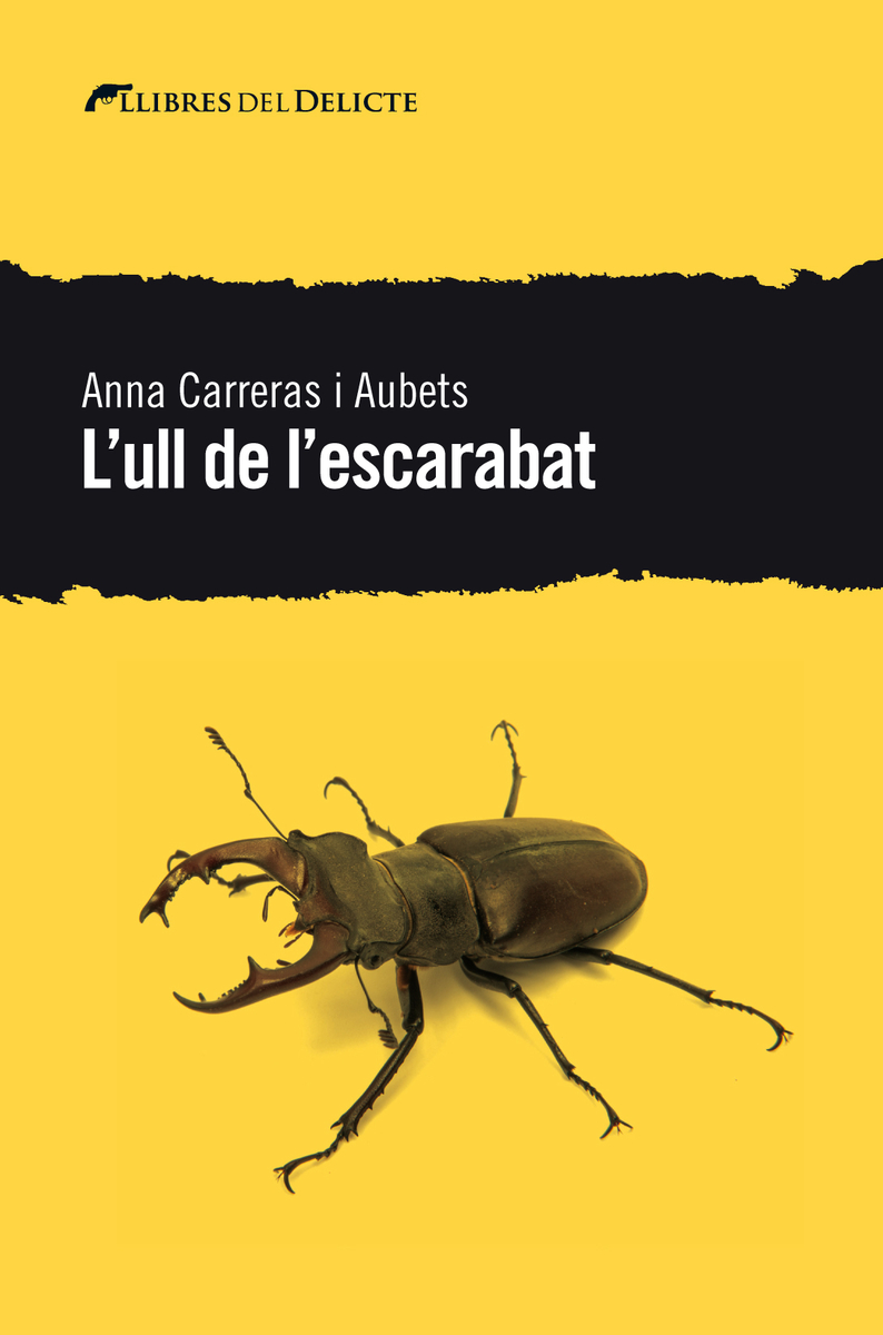 L'ull de l'escarabat: portada