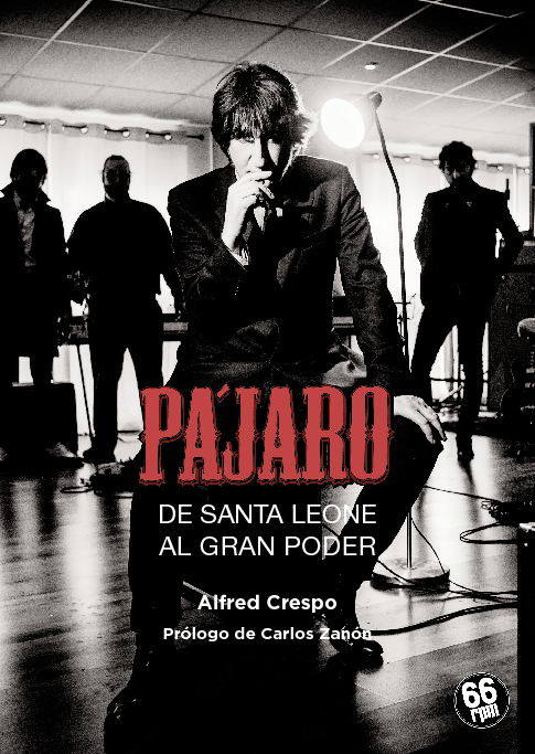 PÁJARO. DE SANTA LEONE AL GRAN PODER: portada