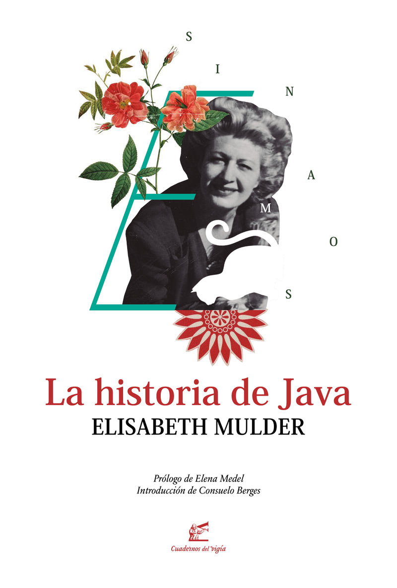 La historia de Java: portada