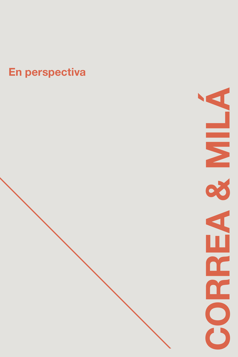 En perspectiva: portada