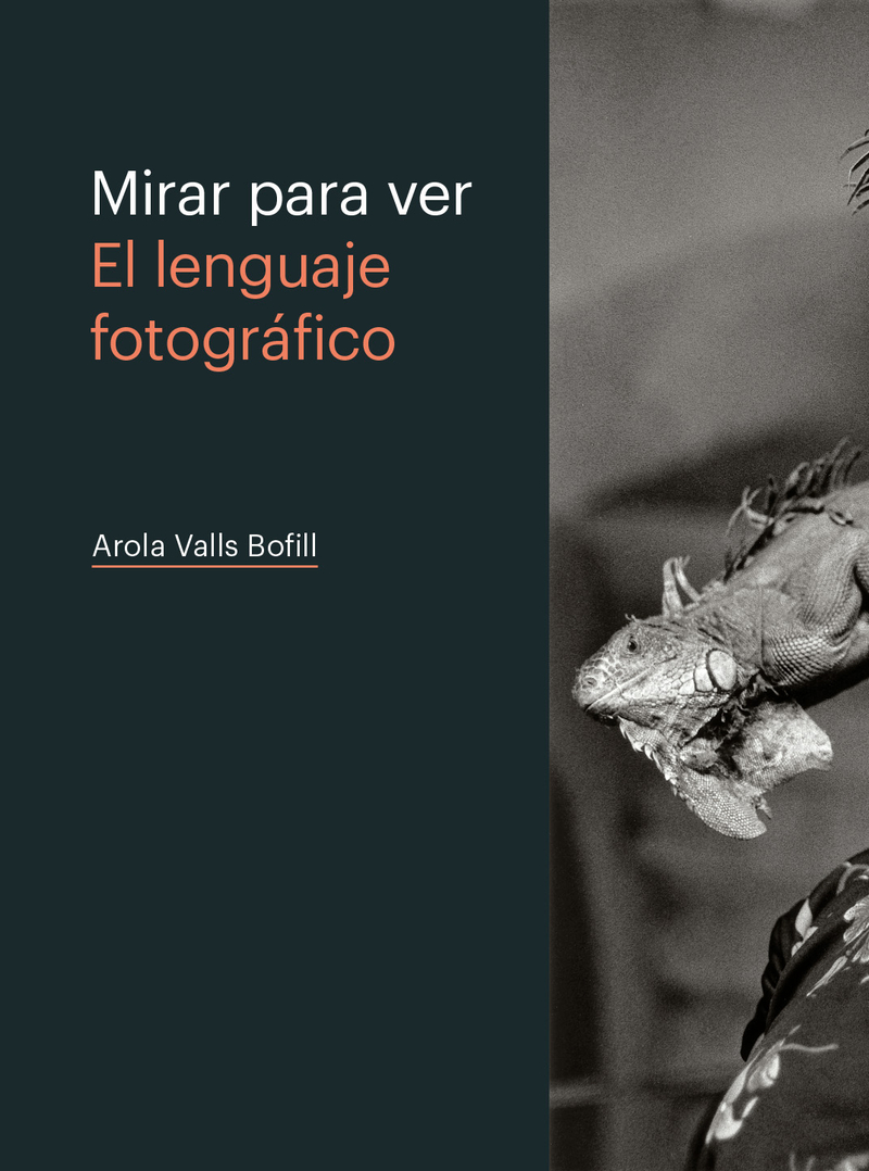 MIRAR PARA VER. EL LENGUAJE FOTOGRÁFICO: portada
