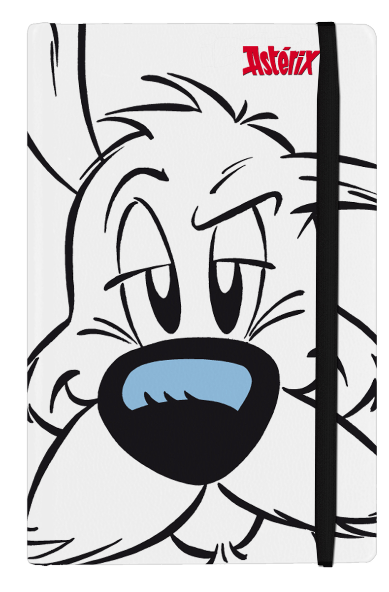 Cuaderno Astérix. Ideafix: portada