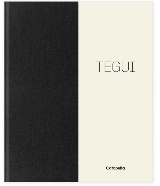 Tegui: portada