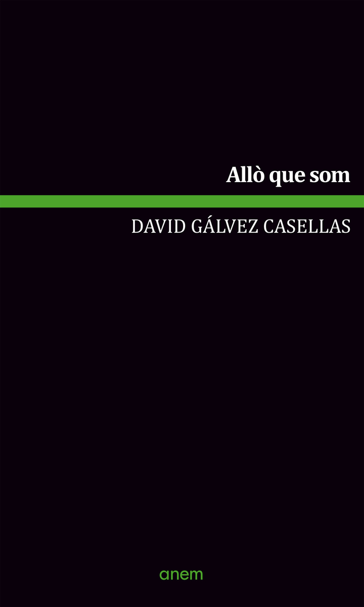 Allò que som: portada