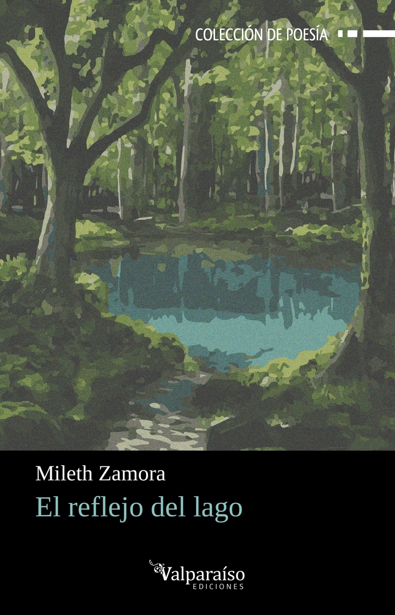 El reflejo del lago: portada