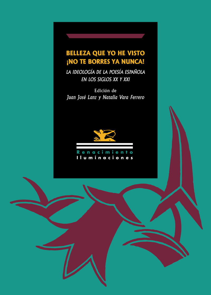 Belleza que yo he visto ¡no te borres ya nunca!: portada