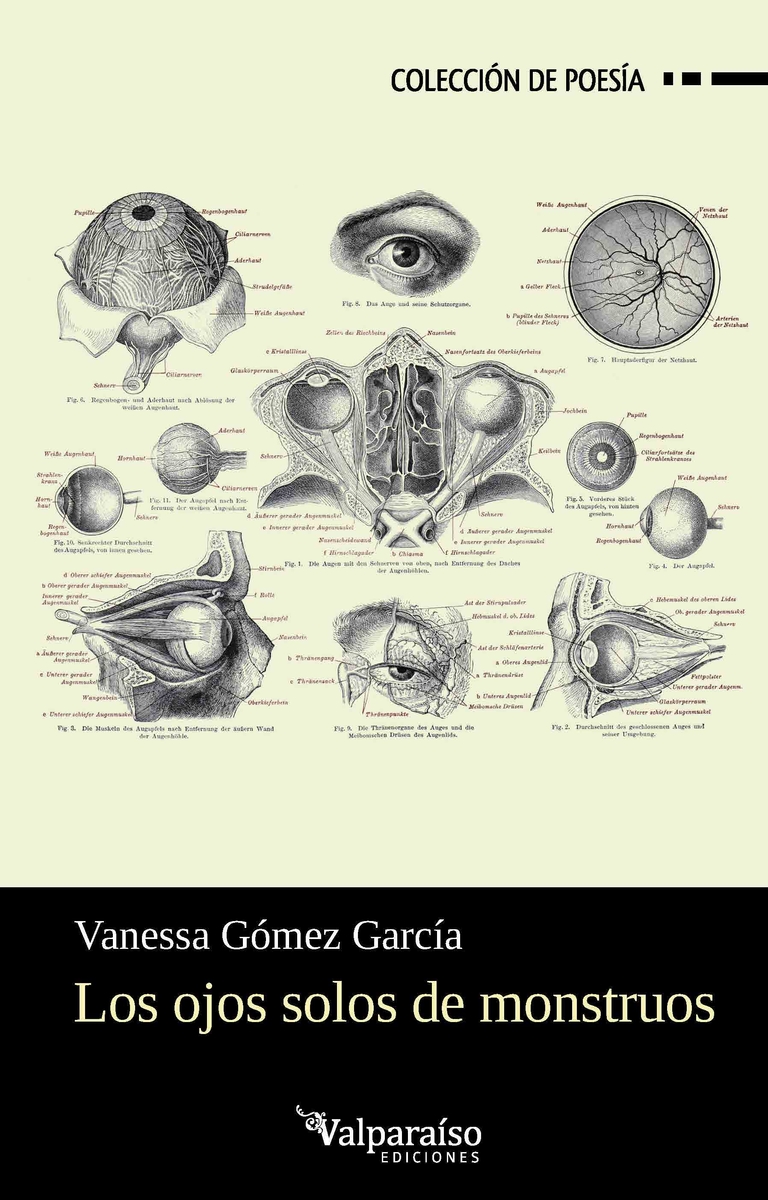 Los ojos solos de monstruos: portada