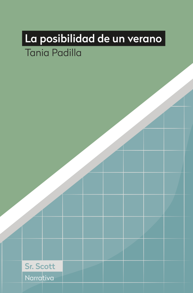 LA POSIBILIDAD DE UN VERANO: portada